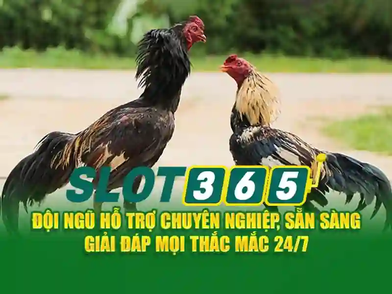Slot365: Tổng quan về nền tảng slot trực tuyến và trải nghiệm người chơi