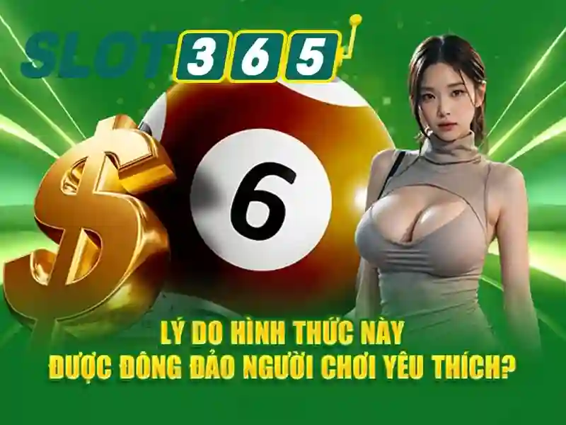 Trải nghiệm người dùng và giao diện