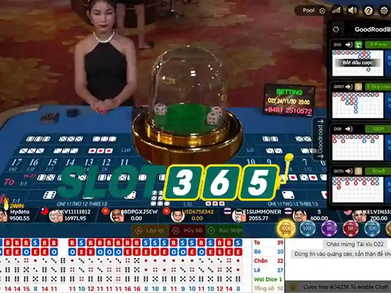 Mẹo cược và quản lý ngân sách