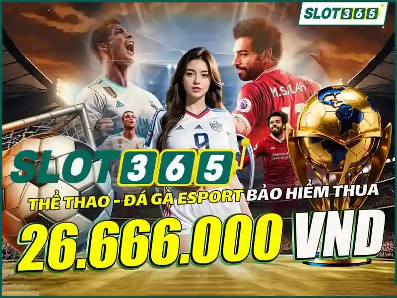 Slot365 là nền tảng slot trực tuyến