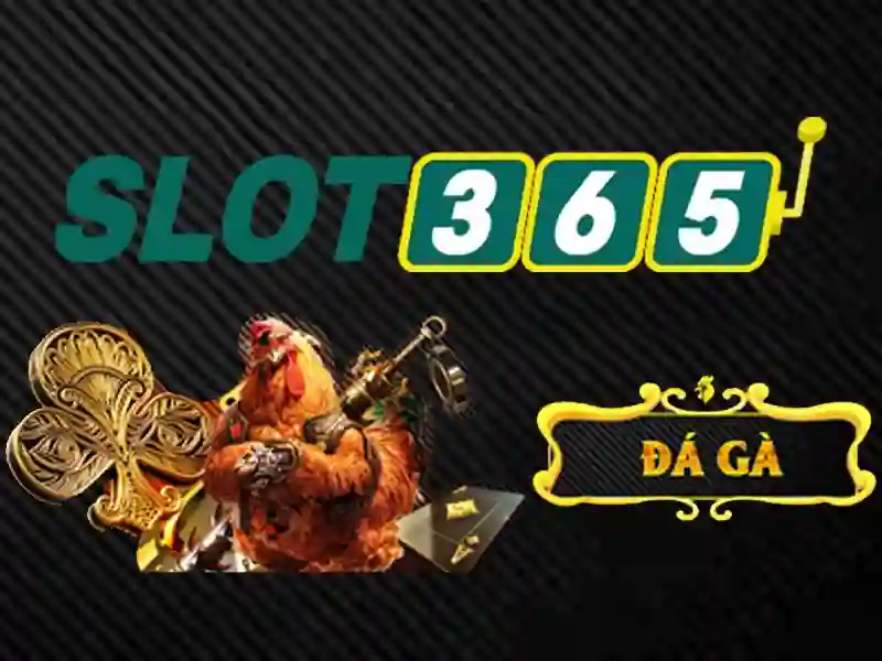 Slot365 là gì và tại sao nó thu hút người chơi slot online