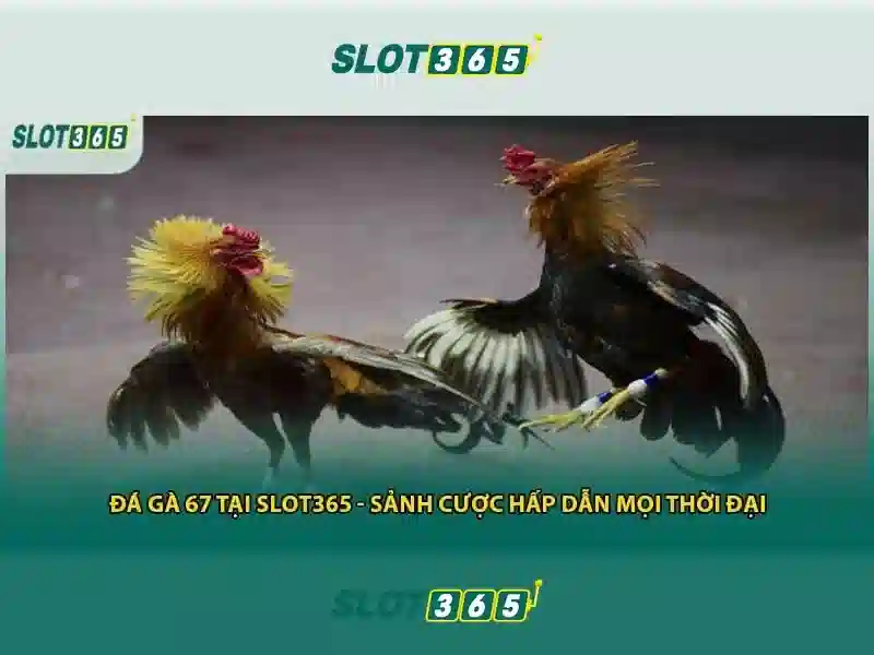 Slot365: Đánh giá tổng quan về casino trực tuyến