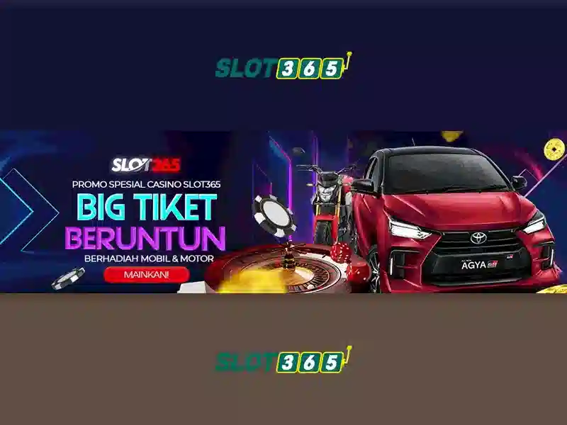 Slot365 là gì và vì sao được ưa chuộng