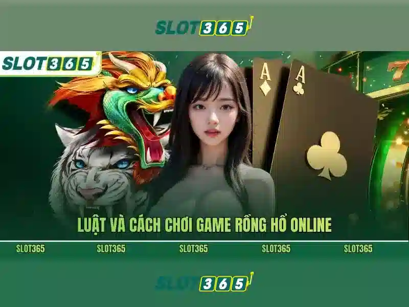 Giao diện và trải nghiệm người dùng
