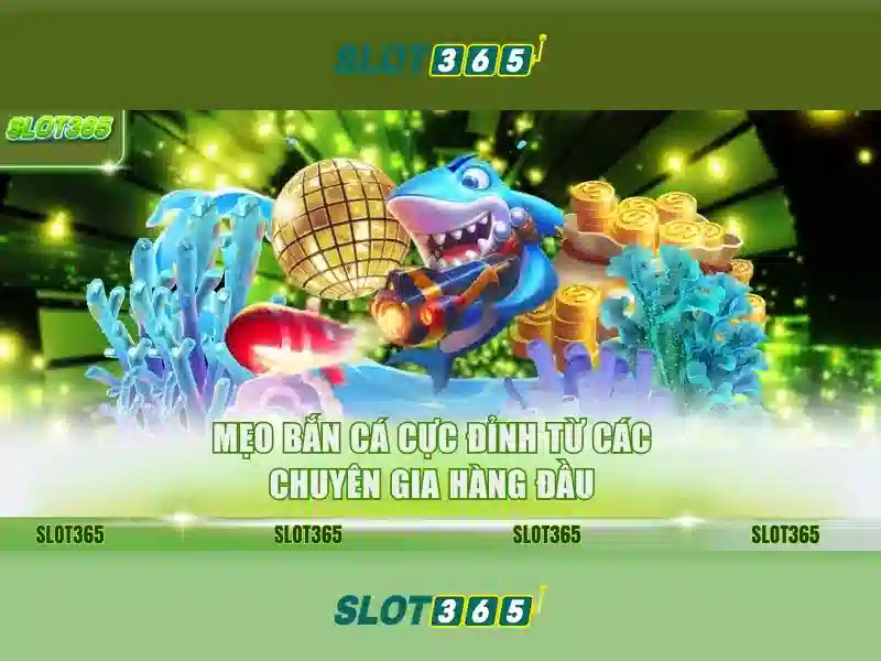 Slot365 - trải nghiệm slot trực tuyến đỉnh cao tại Việt Nam