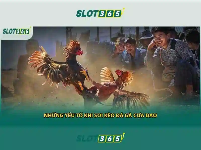Slot365 trên di động