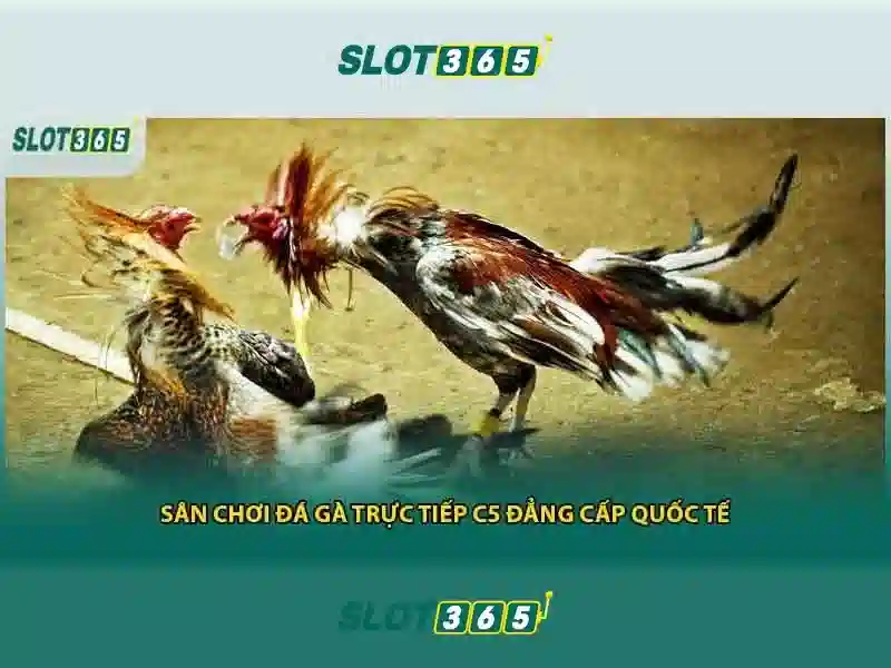 Trải nghiệm người chơi