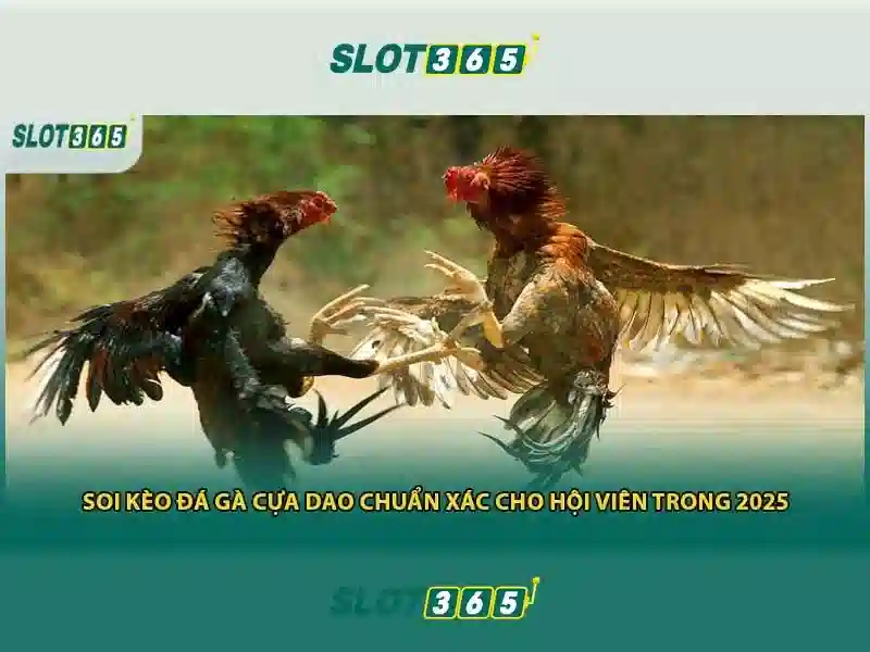 Bảo_mật_SSL_256_bit_va_2FA_slot365