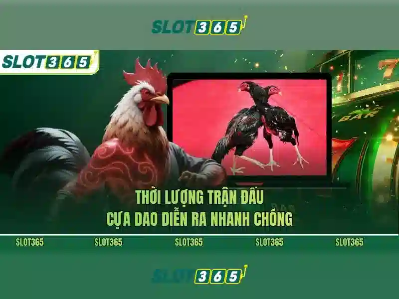 Kết luận và lời khuyên