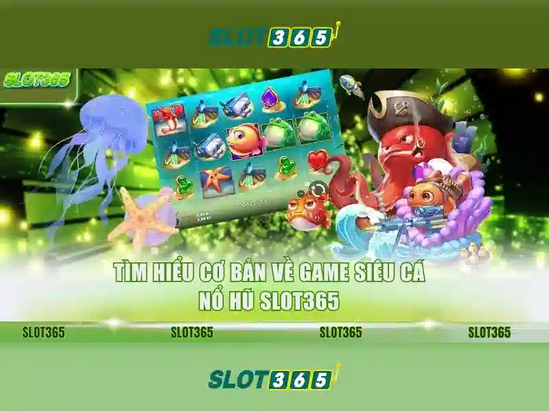 Slot365 là nền tảng trò chơi slot uy tín