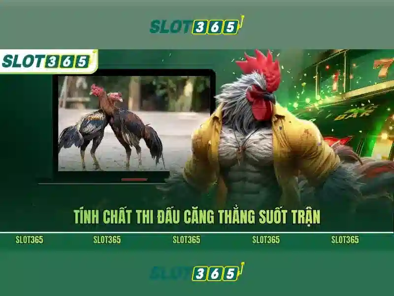 Cách tận hưởng slot365 an toàn và trả thưởng minh bạch