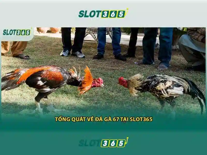 Slot365: Trải nghiệm chơi slot trực tuyến đỉnh cao