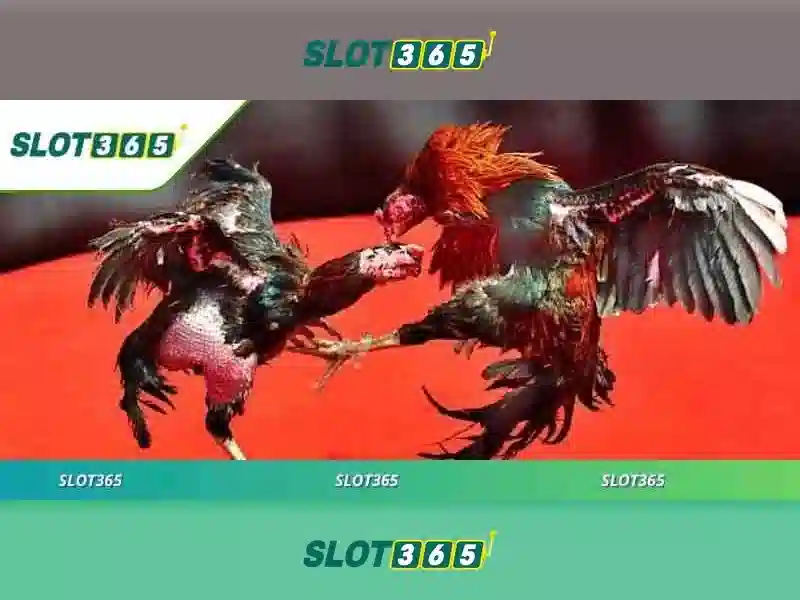 Slot365 là gì và tại sao nó thu hút người chơi