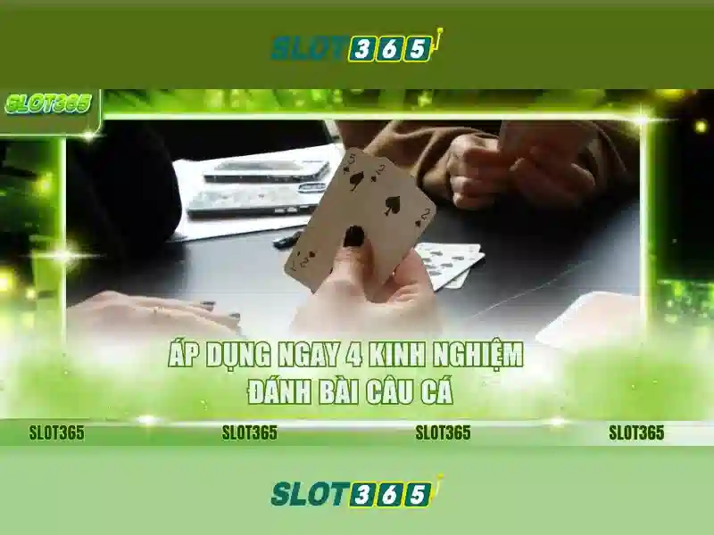 Trò chơi và nhà cung cấp