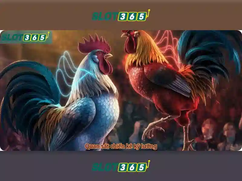 Slot365: Nền tảng trò chơi xèng trực tuyến