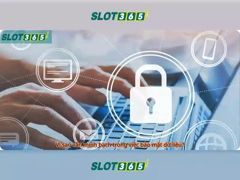 Slot365: Nền tảng máy xèng trực tuyến hàng đầu