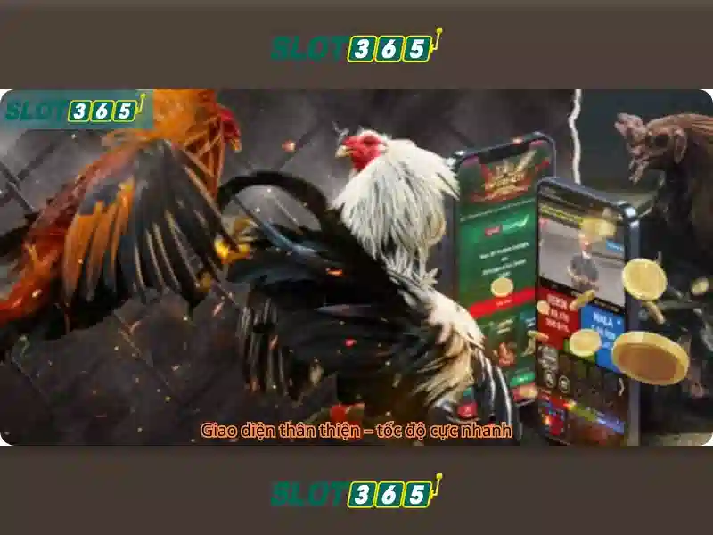 Slot365 là nền tền chơi slot trực tuyến hàng đầu