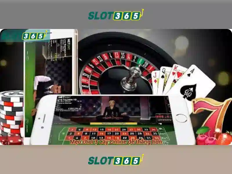 slot365_overview
