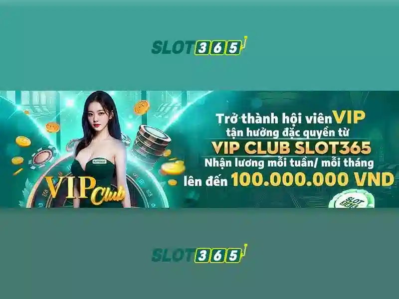 Trải nghiệm người dùng và giao diện