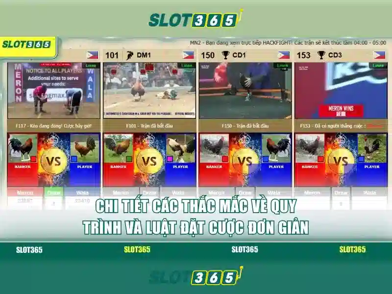 Giới thiệu về Slot365
