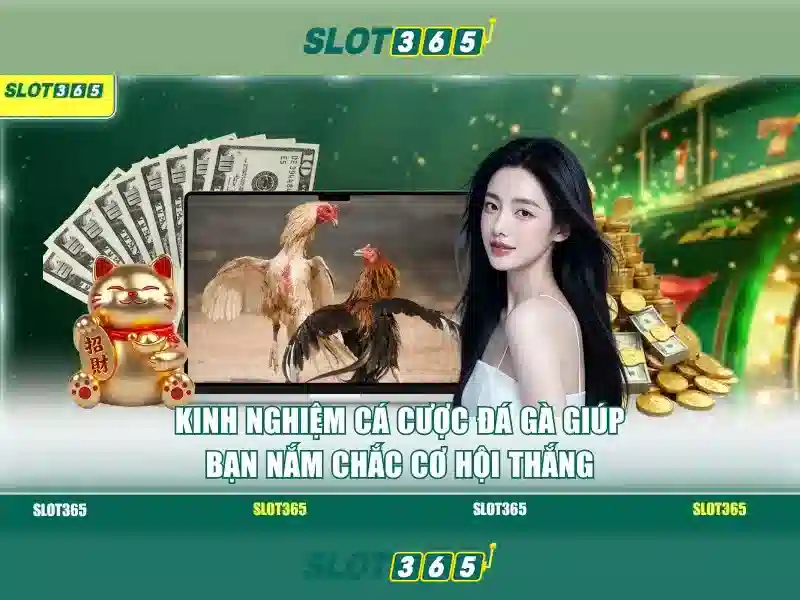 Slot365: Nền tảng đánh bạc trực tuyến uy tín
