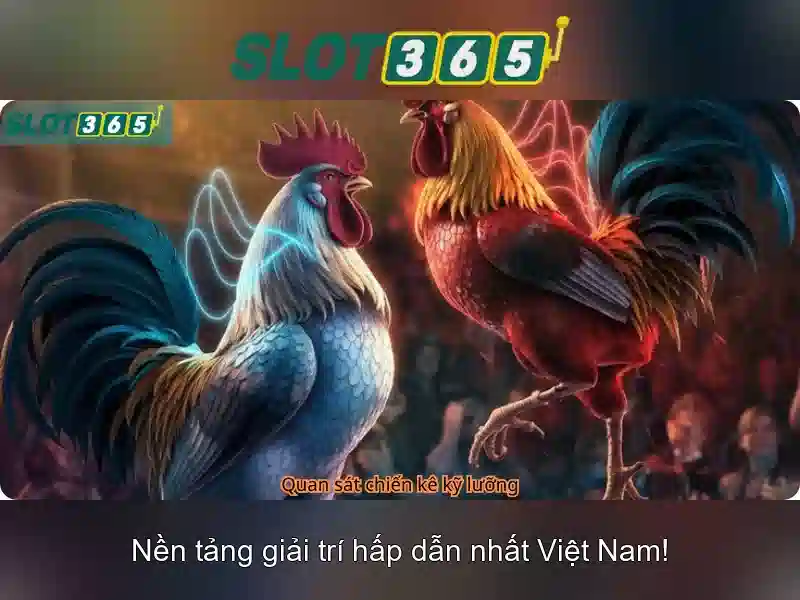 Slot365 - Nền tảng giải trí đánh bạc trực tuyến an toàn