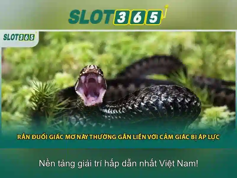 Slot365 – Tổng quan và trải nghiệm chơi slot trực tuyến