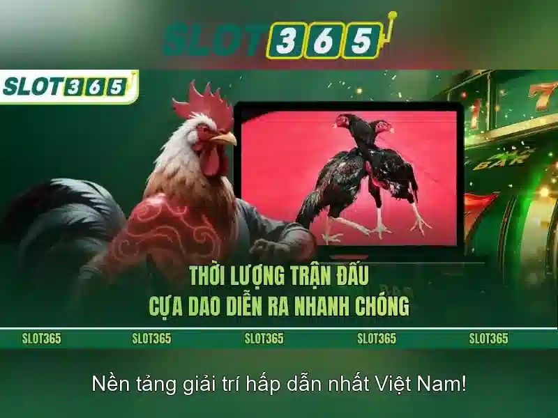 Slot365 – Nền tảng slot trực tuyến an toàn và tin cậy