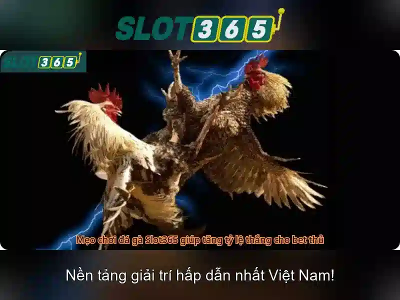 Slot365 - Trải nghiệm máy slot trực tuyến đẳng cấp
