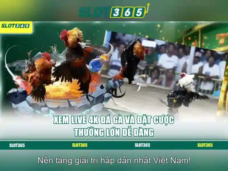 Trải nghiệm người chơi