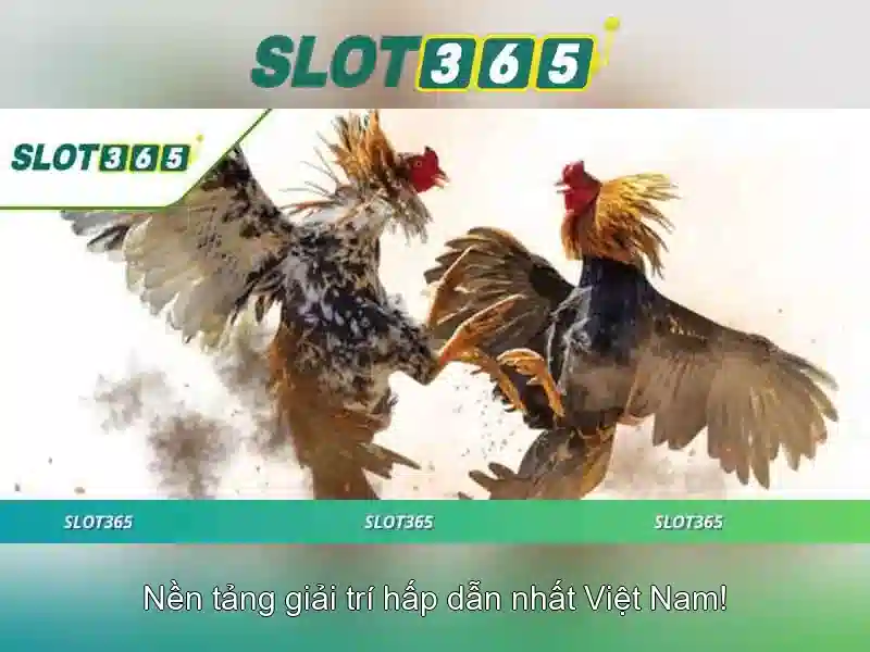 Chế độ thưởng và tính công bằng