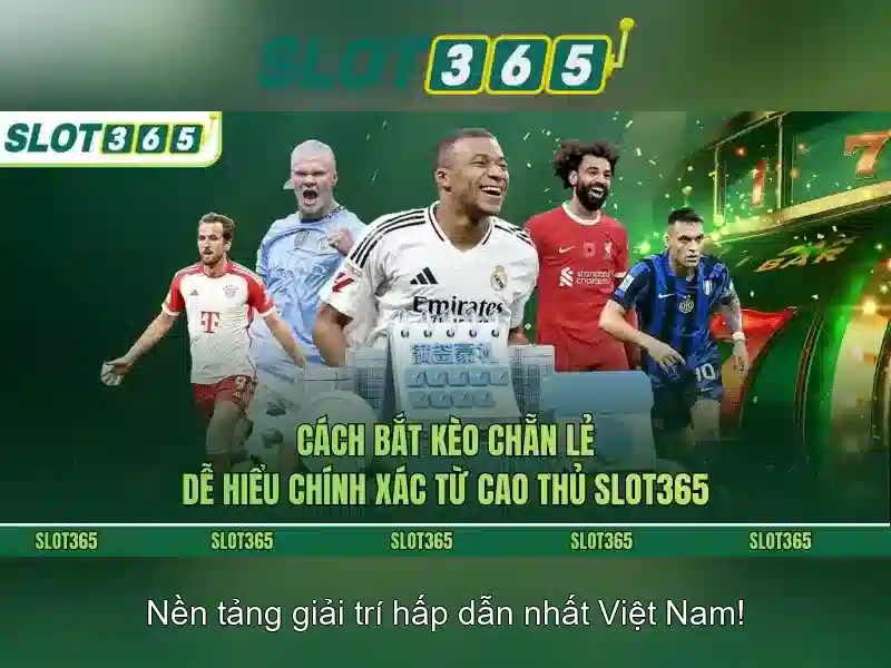 Slot365 - Khám phá nền tảng Slot365 cho trò chơi trực tuyến