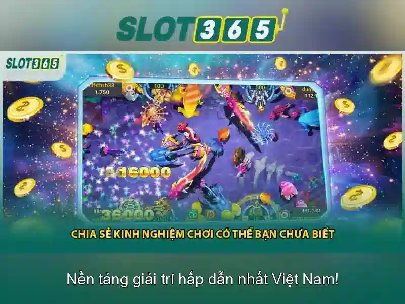 Khuyến mãi hấp dẫn và chương trình khách hàng thân thiết