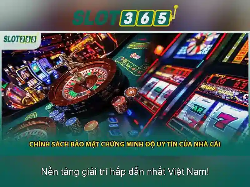 Kết luận