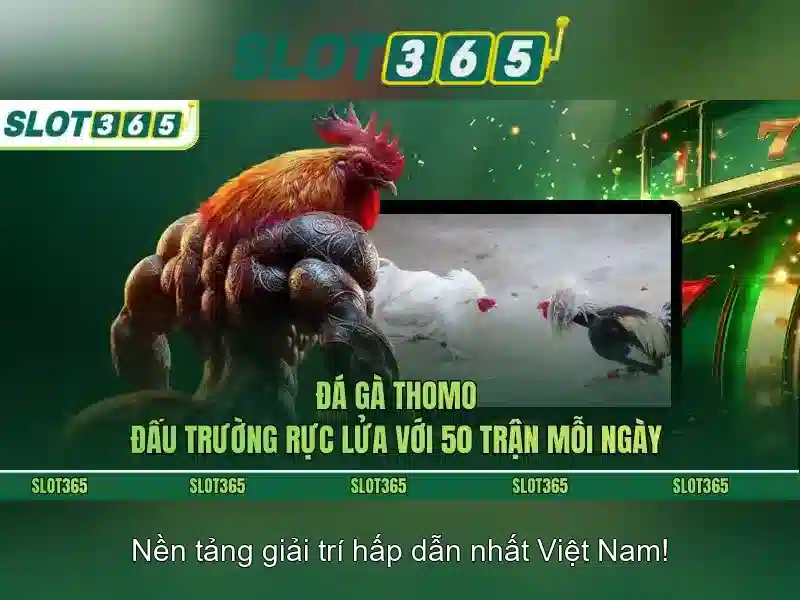 Kho trò chơi và nhà cung cấp