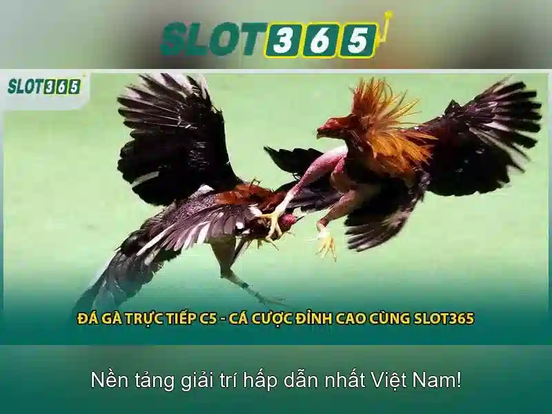 Slot365 – Trải nghiệm đánh bạc trực tuyến an toàn và tiện lợi