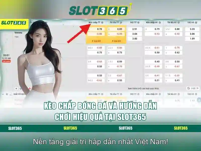 Giao diện và trải nghiệm người dùng