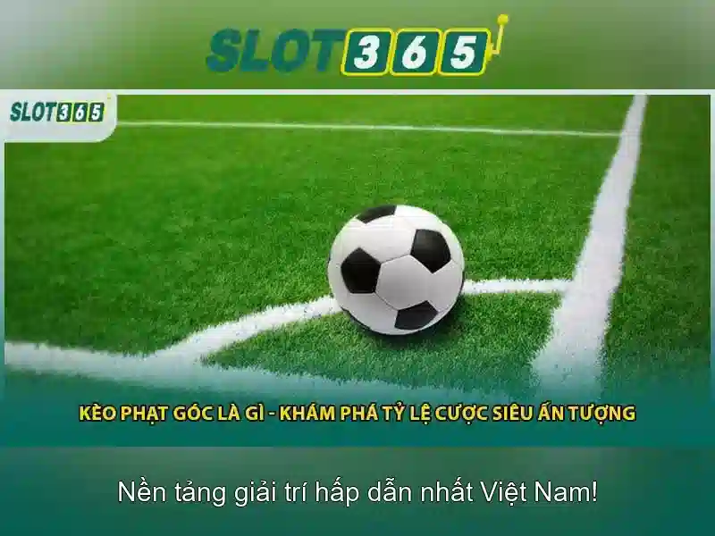 Cách Slot365 hoạt động và quyền lợi người chơi