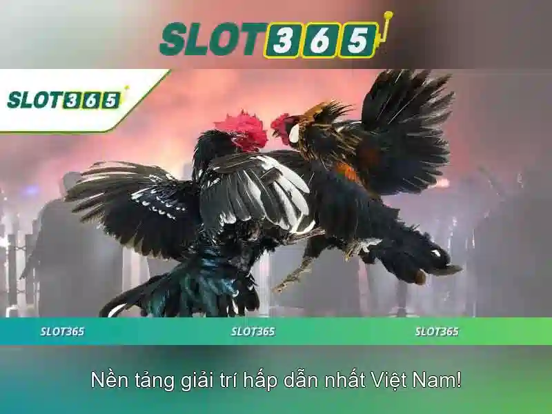 Slot365: Tổng quan về nền tảng slot trực tuyến