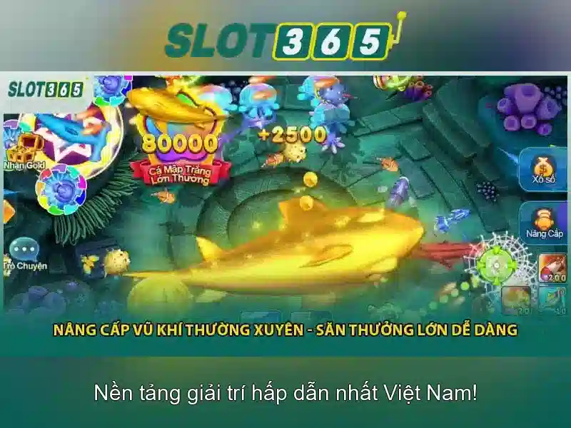 Slot365: Tổng quan, trải nghiệm và mẹo chơi slots an toàn
