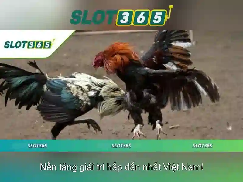 Tính an toàn và thanh toán trên Slot365