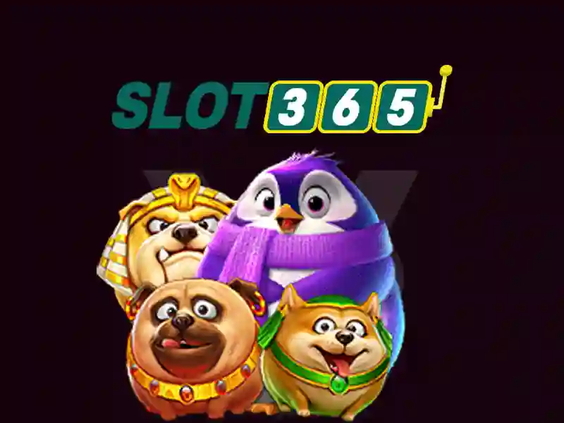 Quy trình thu thập và xử lý dữ liệu an toàn tại Slot365