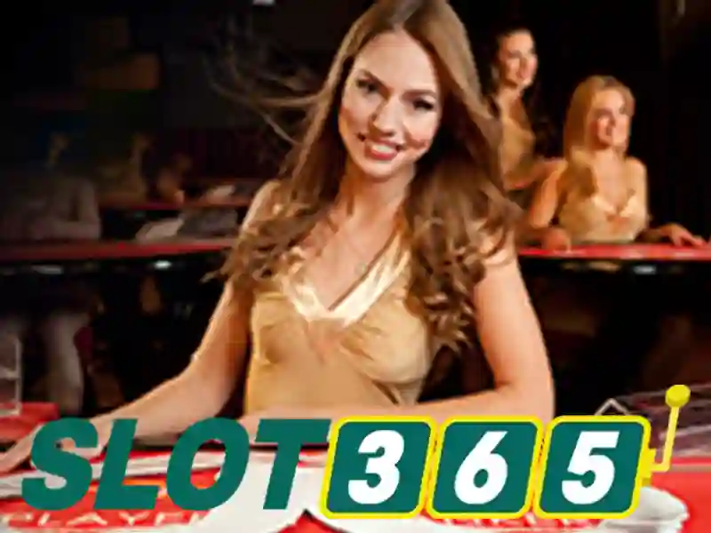 Slot365 - Tổng quan về nhà cái và trò chơi slot
