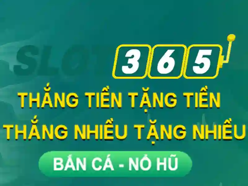Khuyến mãi hấp dẫn và chương trình thưởng
