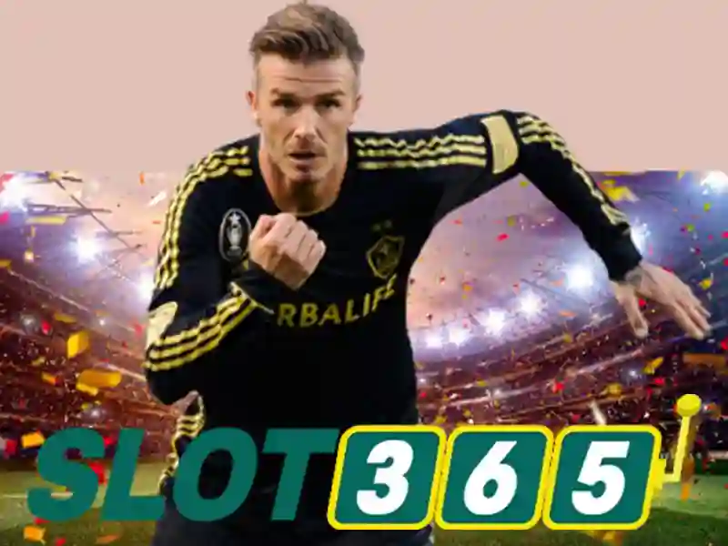 Slot365: Tổng quan về sòng bài slot trực tuyến nổi bật