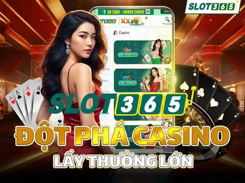 Giao diện và trải nghiệm người dùng