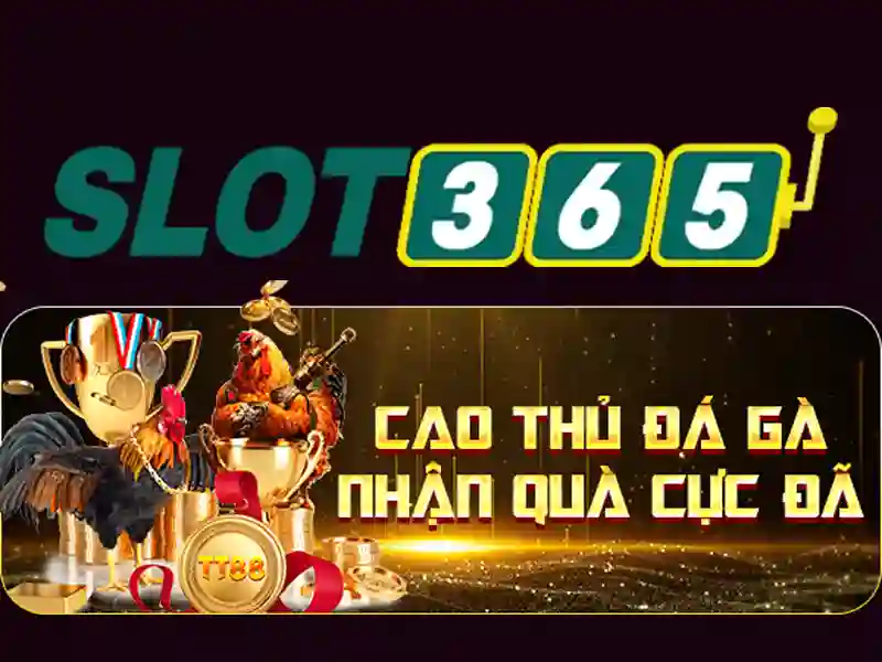 Slot365: Nền tảng chơi slot trực tuyến hàng đầu