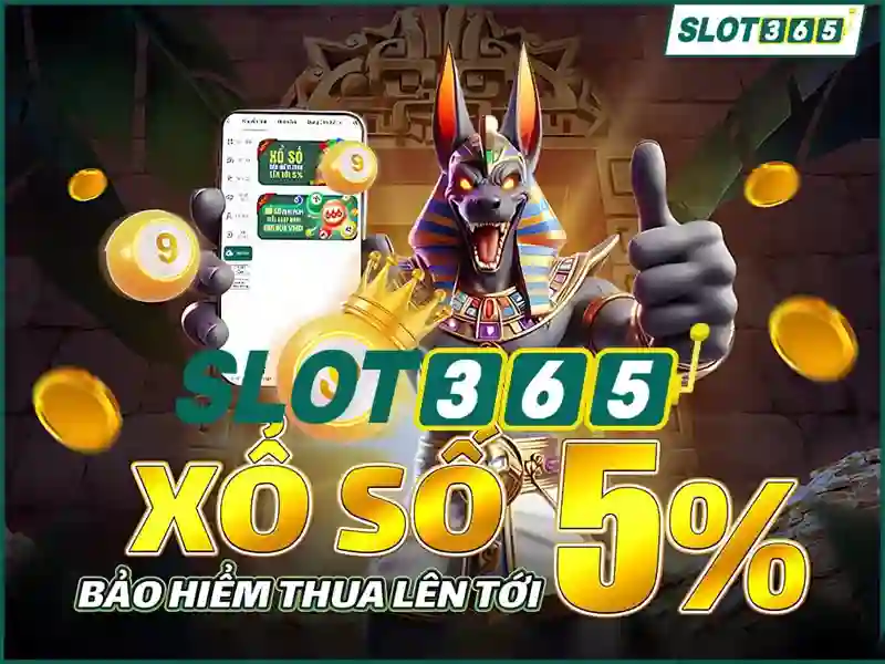 Giao diện người dùng và trải nghiệm